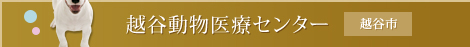 越谷動物医療センター