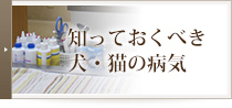 知っておくべき犬・猫の病気―