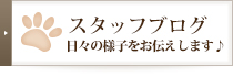 スタッフブログ（日々の様子をお伝えします♪）